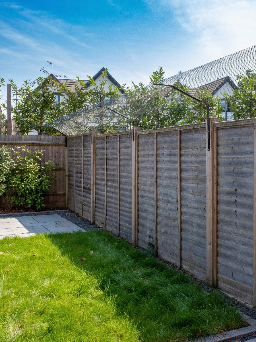 Cat proof fencing installation Canterbury East Kent